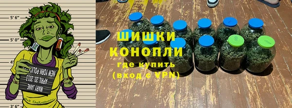 прущие грибы Алзамай