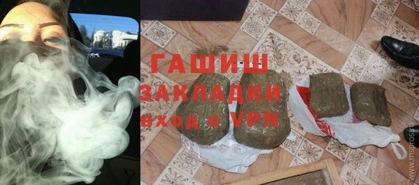 прущие грибы Алзамай
