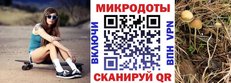 Купить где  Стрежевой  Галлюциногенные грибы мухоморы 